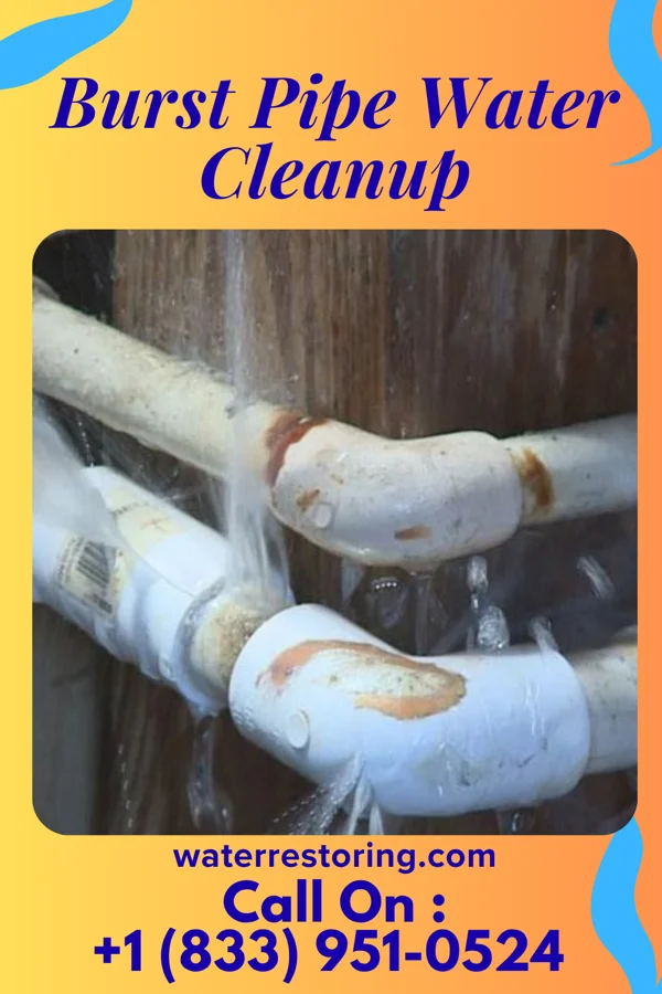 Burst Pipe Water Cleanup in East View, WV