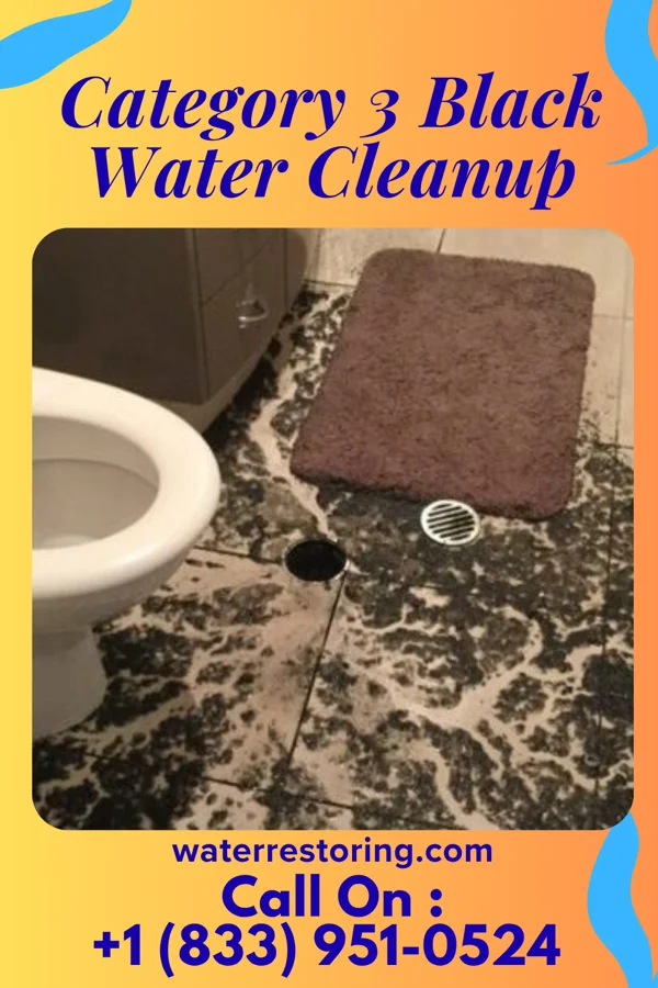 Category 3 Black Water Cleanup in East View, WV