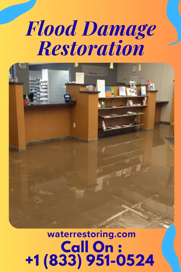 Flood Damage Restoration in East View, WV