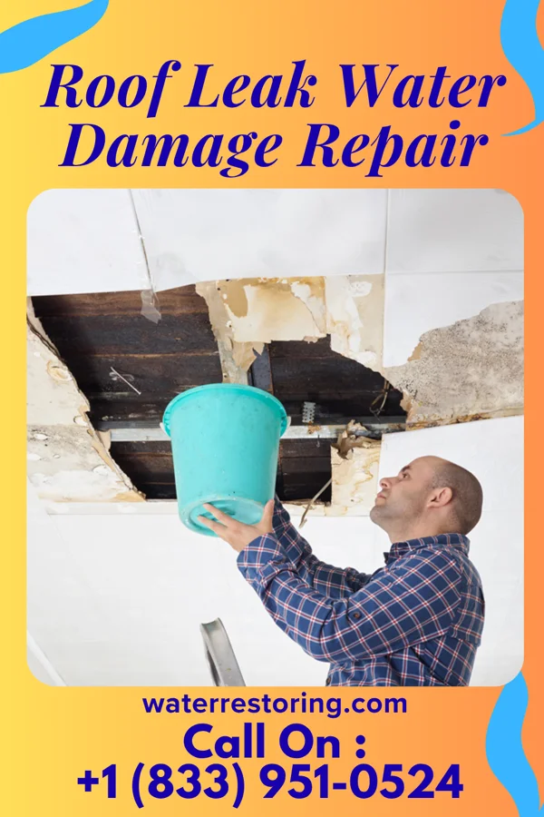 Roof Leak Water Damage Repair in East View, WV