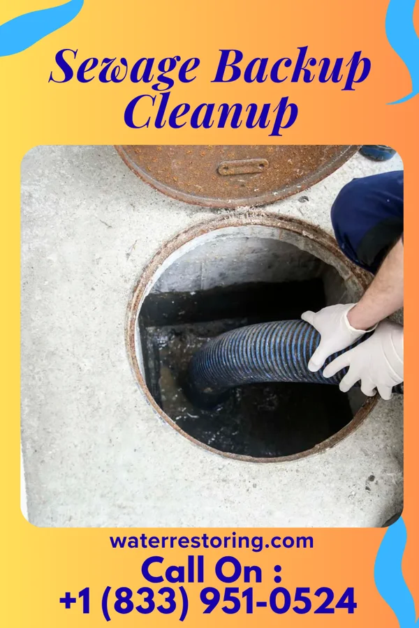 Sewage Backup Cleanup in East View, WV