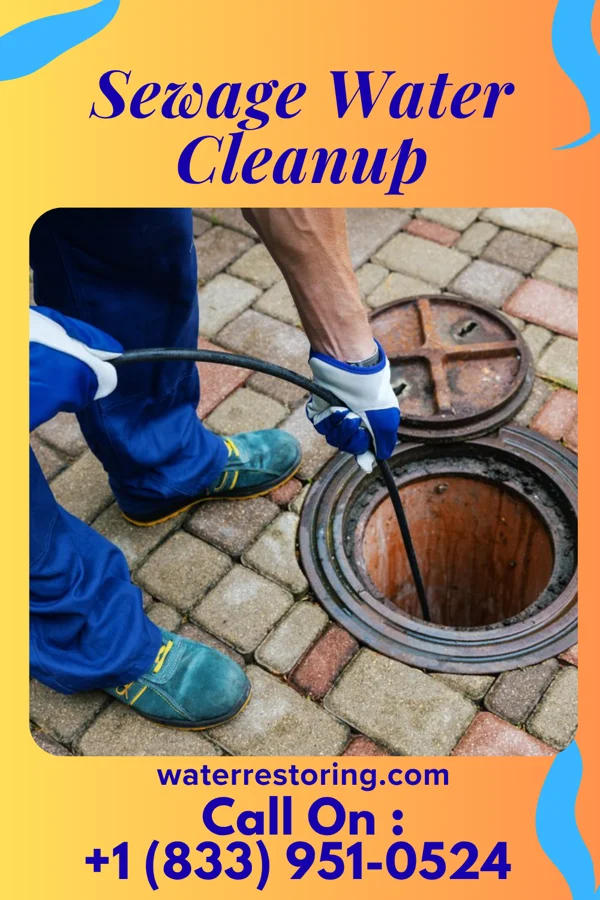 Sewage Water Cleanup in East View, WV