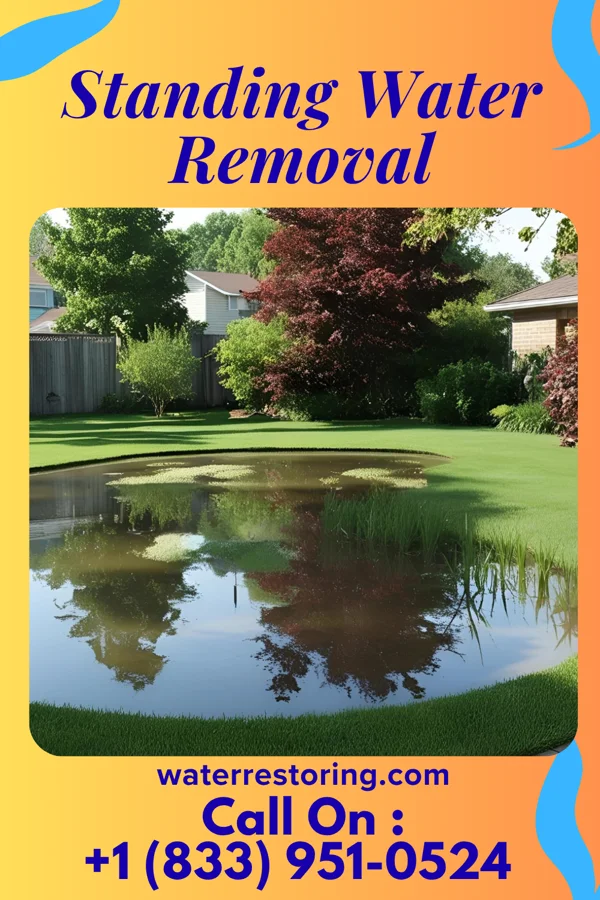 Standing Water Removal in East View, WV